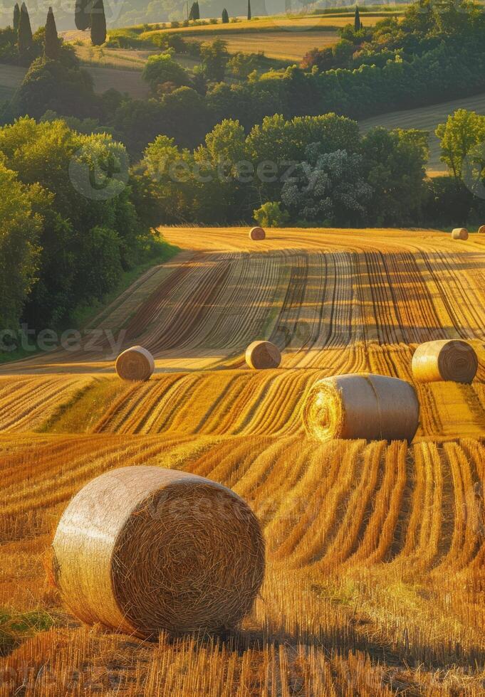 ai generiert Heu Ballen auf das Feld nach Ernte Toskana Italien foto