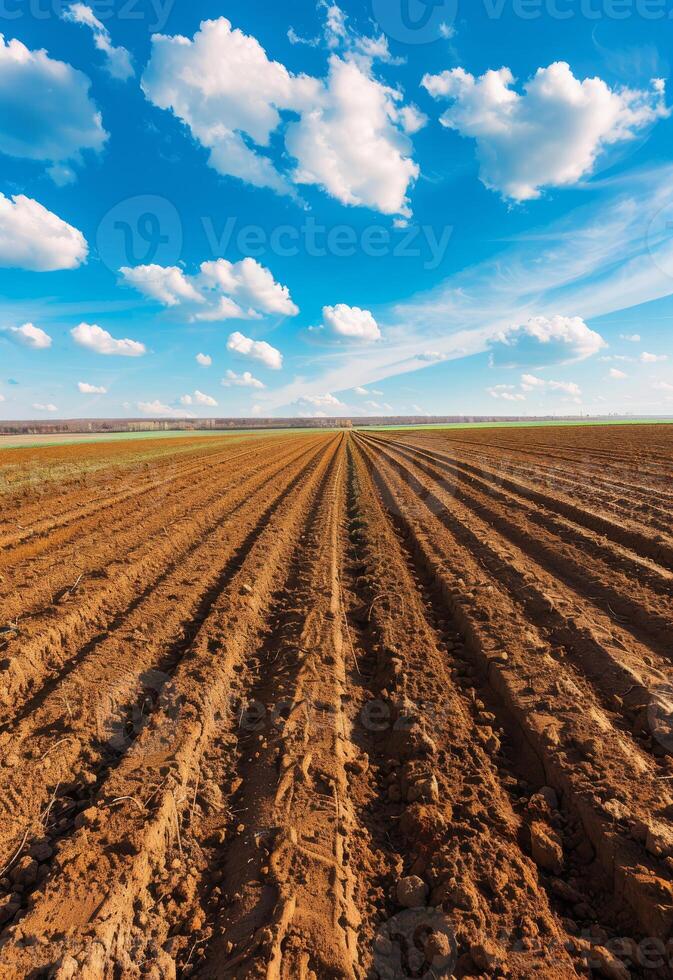 ai generiert Furchen Reihe Muster im gepflügt Feld bereit zum Pflanzen Pflanzen im Frühling. foto