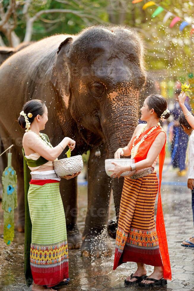 schön thailändisch jung Frauen Ware thailändisch traditionell Kleid abspielen zu streuen Wasser auf das thailändisch Neu Jahre Tag oder Songkran Festival im ein Spaß Weg mit Elefant auf Sonne hell Hintergrund. foto