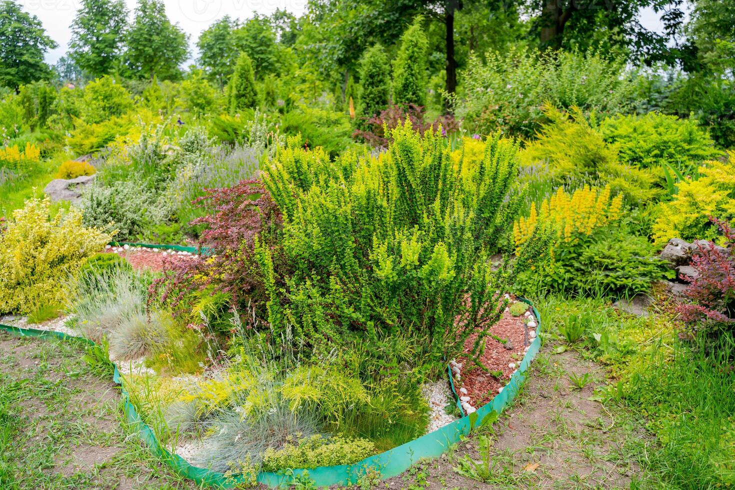 szenisch Aussicht von bunt Blumenbeete. üppig Grün Gras Rasen. Landschaft Design. foto