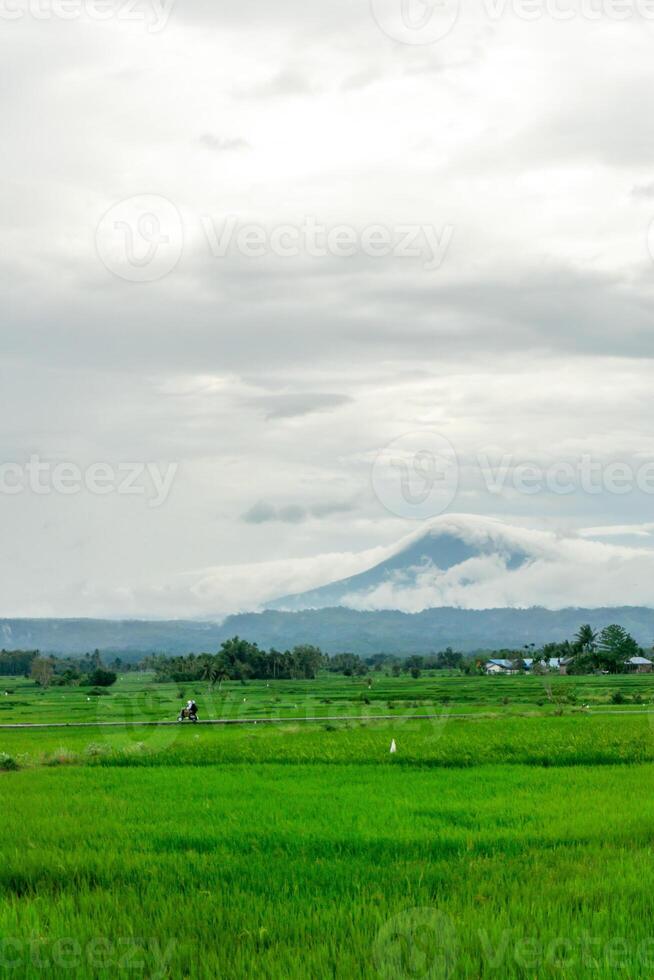 schön Landschaft Aussicht von Grün Paddy Reis Feld mit ein Berg im das Hintergrund. seulawah Berg Aussicht im aceh besar, Indonesien. foto