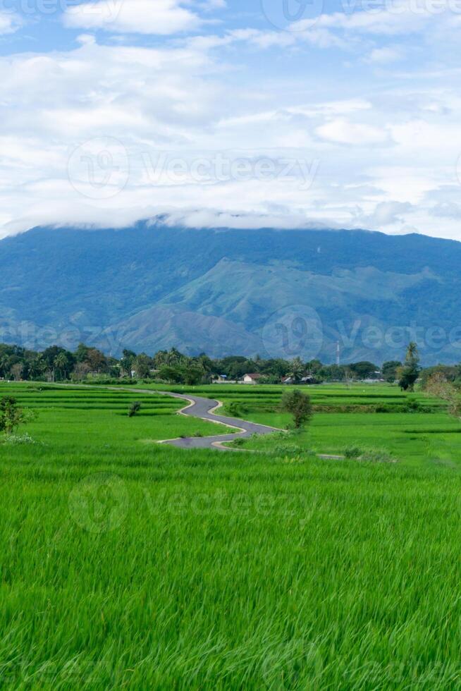 schön Landschaft Aussicht von Grün Paddy Reis Feld mit ein Berg im das Hintergrund. seulawah Berg Aussicht im aceh besar, Indonesien. foto