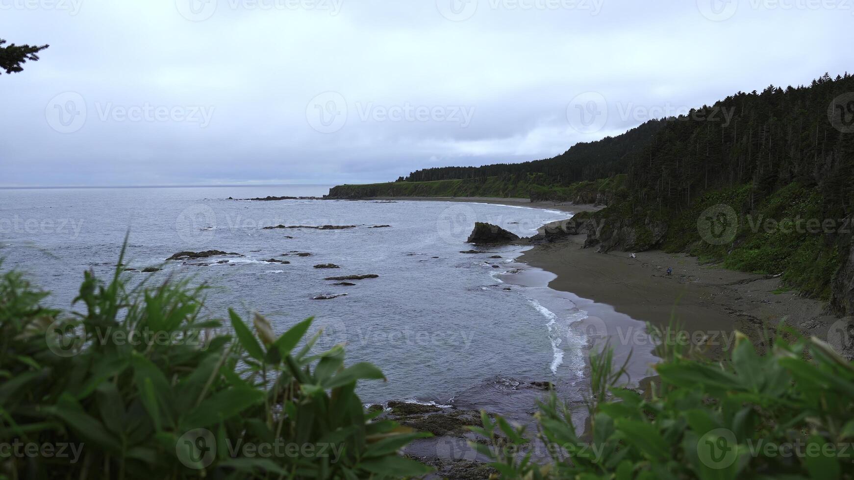 schön felsig Küste mit Grün im wolkig Wetter. Clip. oben Aussicht von malerisch Landschaft von Süd- Meer Küste mit Felsen. Grün felsig Küste auf wolkig Tag foto