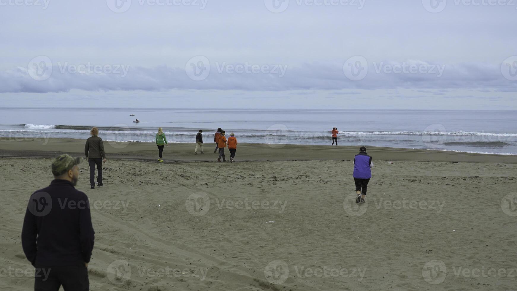 Gruppe von Menschen Gehen auf Strand durch Meer auf wolkig Tag. Clip. Menschen Ansatz Meer auf Strand. Menschen gehen auf sandig Strand foto