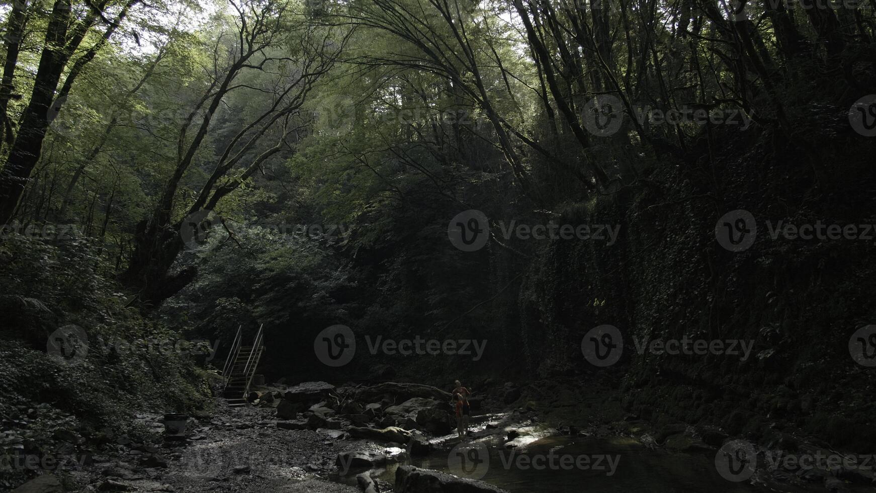 Wanderer Mutter und Junge Stehen im Dschungel in der Nähe von kalt Strom. kreativ. üppig Grün Wald und Fluss. foto