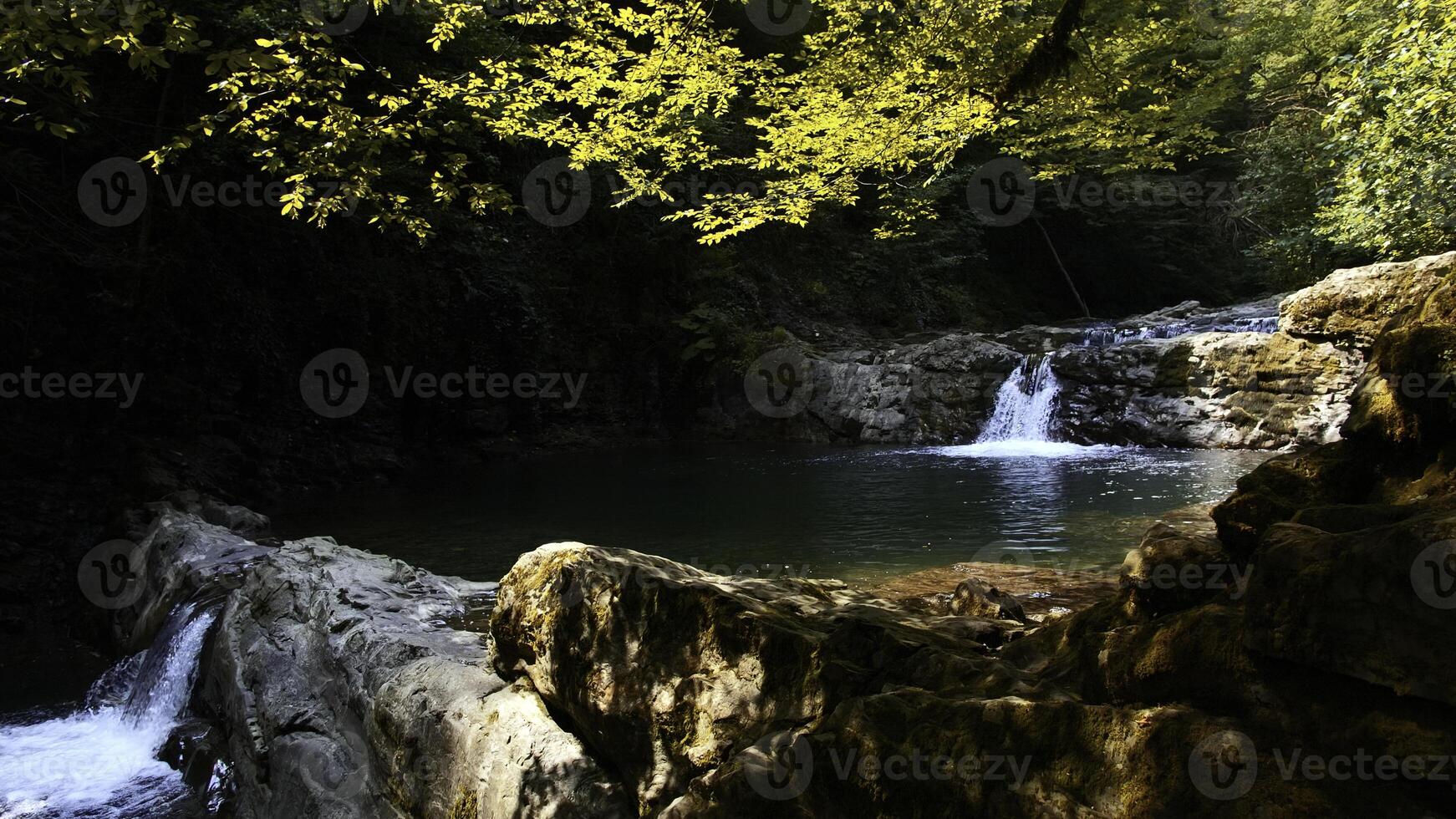 malerisch Sommer- natürlich Teich im tropisch Wald. kreativ. klein Wasserfall und Dschungel. foto