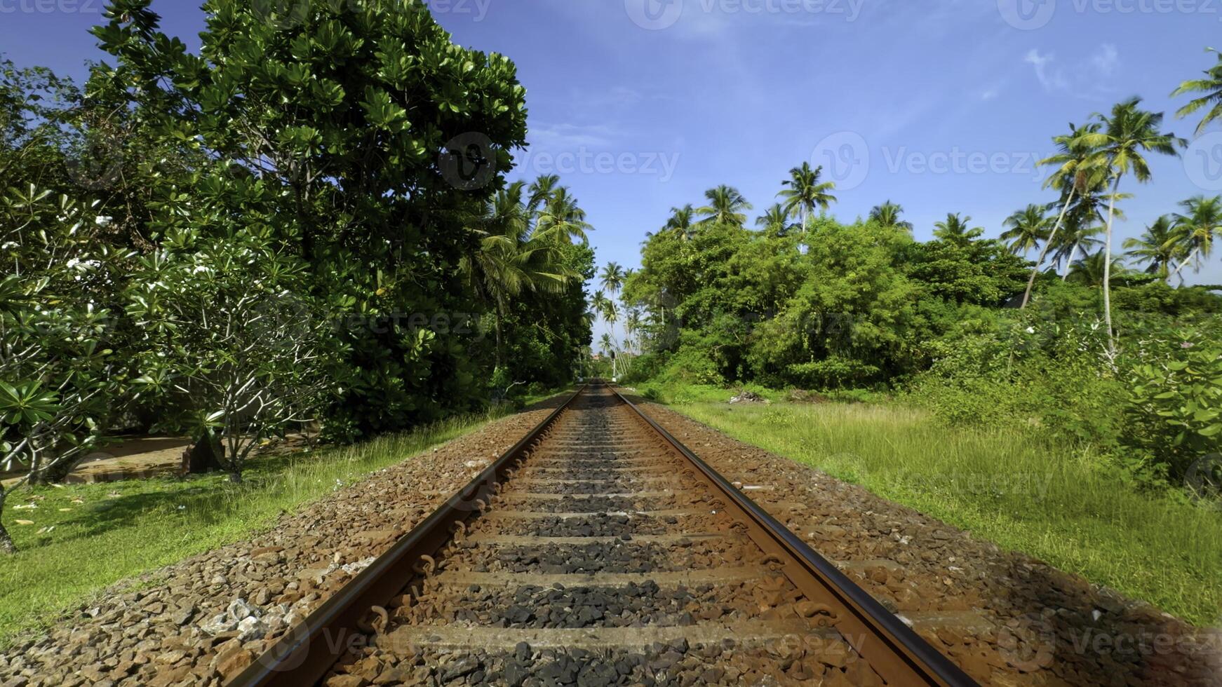 Gehen entlang verlassen Eisenbahn Schiene. Aktion. üppig Grün tropisch Vegetation auf ein Sommer- Tag. foto