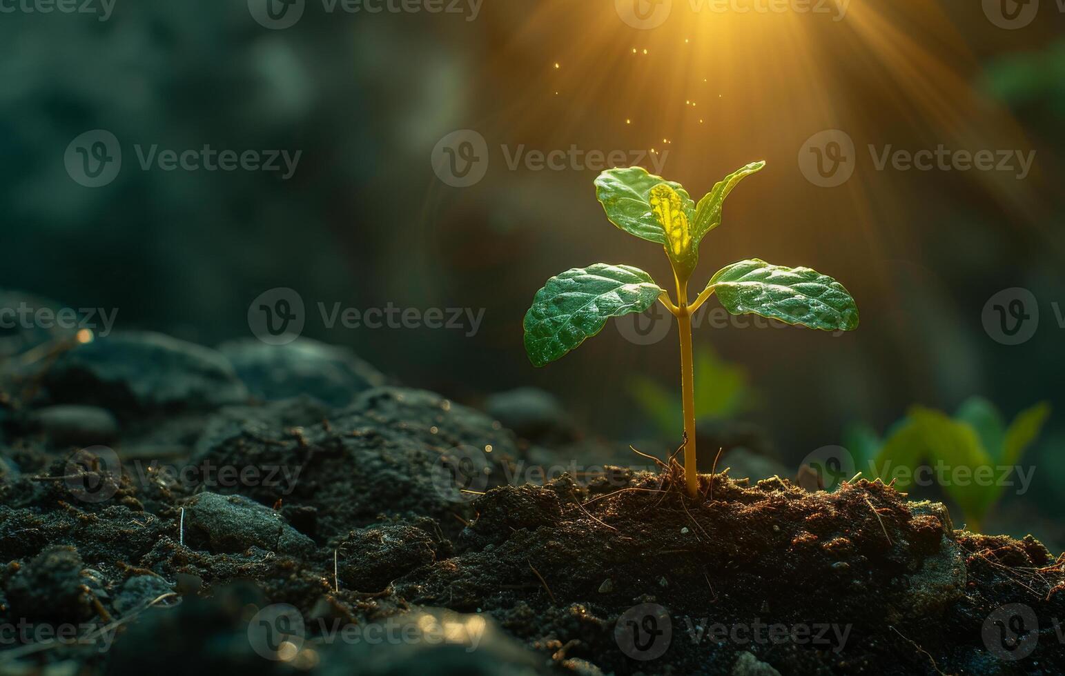 ai generiert jung Pflanze wachsend im das Morgen Licht und Grün Natur Hintergrund foto