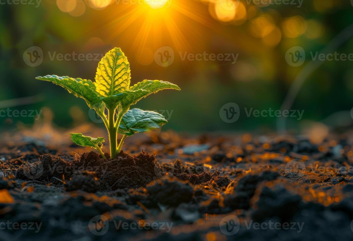 ai generiert jung Pflanze wachsend auf das Boden mit Grün und Gelb Licht und Morgen Sonnenlicht foto