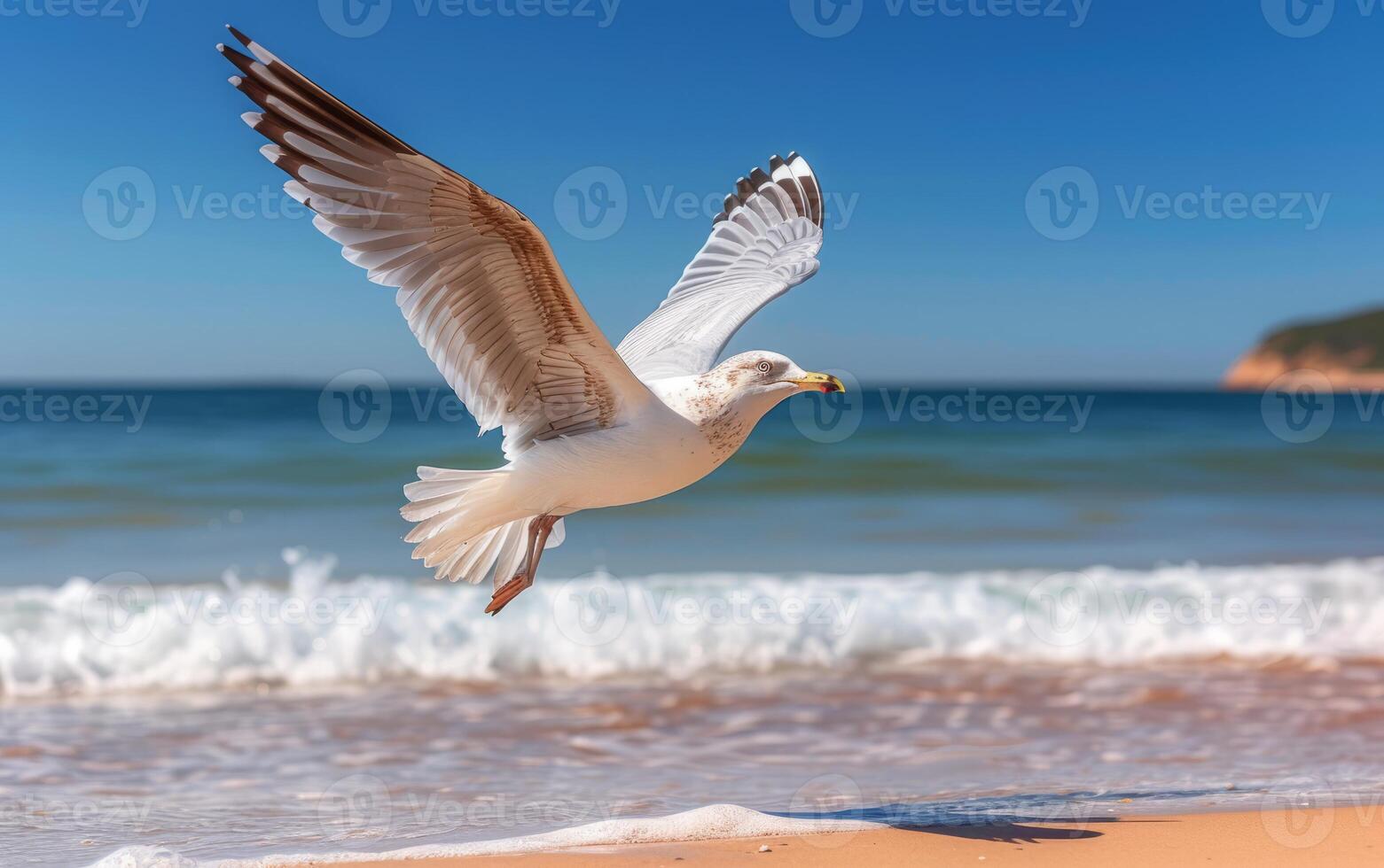 ai generiert Erfassen das dynamisch Bewegung von ein Möwe nehmen Flug foto