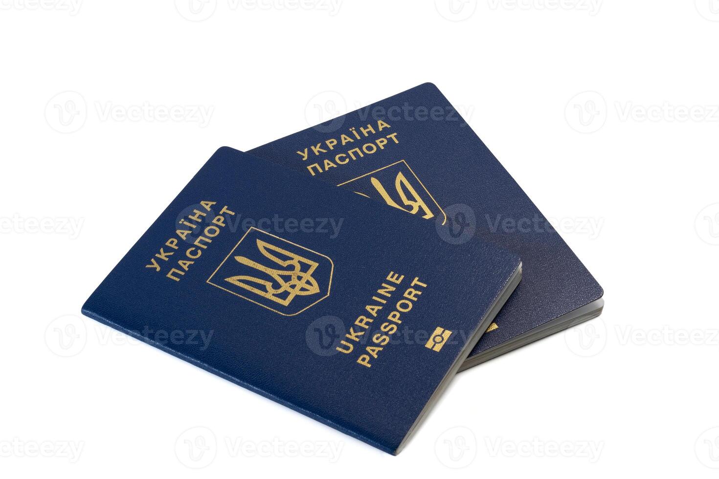 ukrainisch International biometrisch Reisepass zwei foto