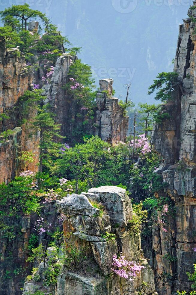 zhangjiajie Berge, China foto