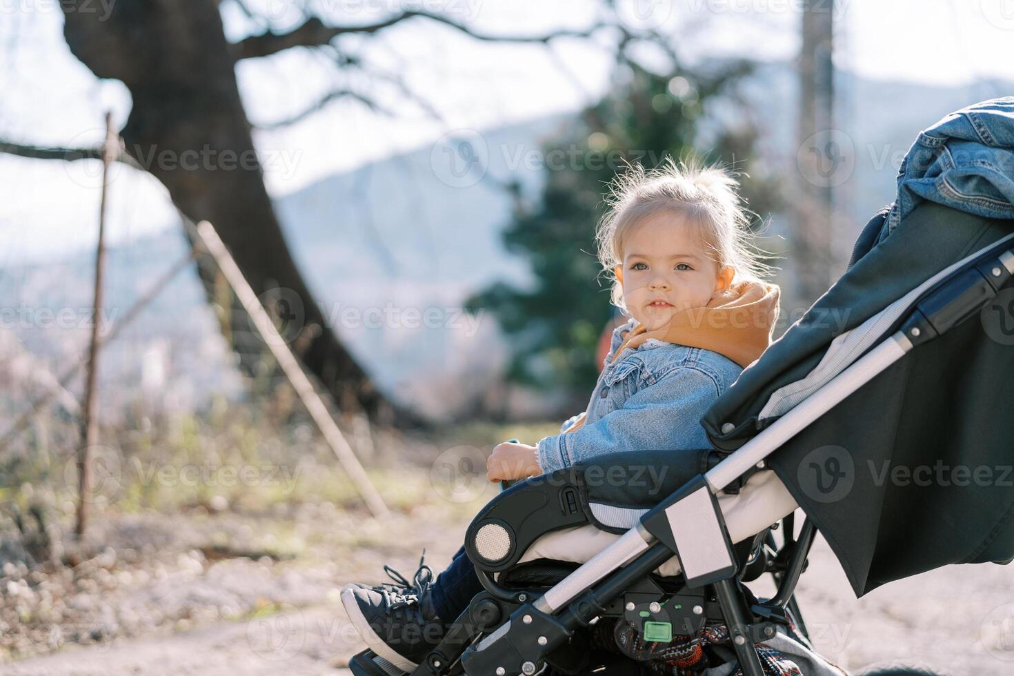 wenig Mädchen sitzt im ein Kinderwagen im das Park und sieht aus weg. Seite Aussicht foto