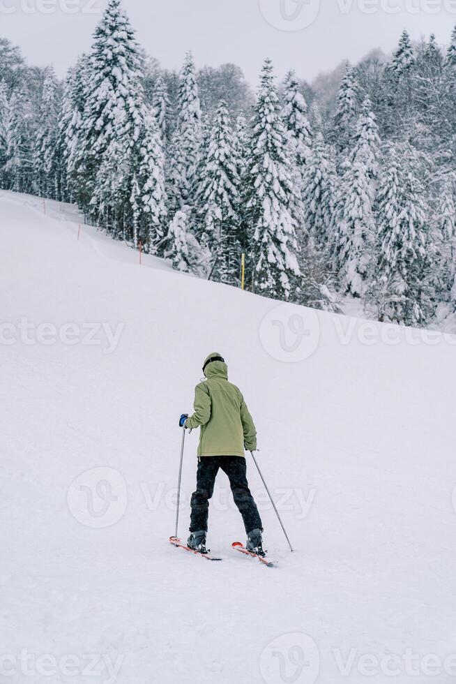 Skifahrer im ein Ski passen Ski oben ein schneebedeckt Berg entlang das Wald. zurück Aussicht foto