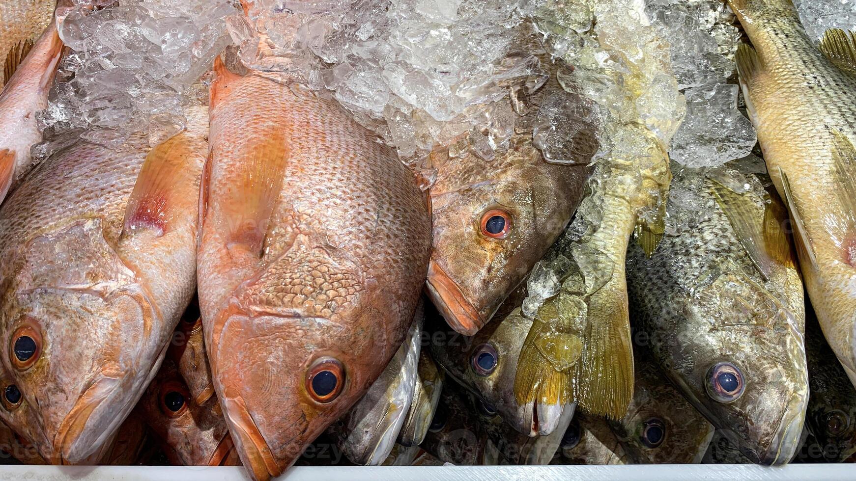 nass Markt Wunder mit Fisch auf Anzeige. nass Markt Konzept foto