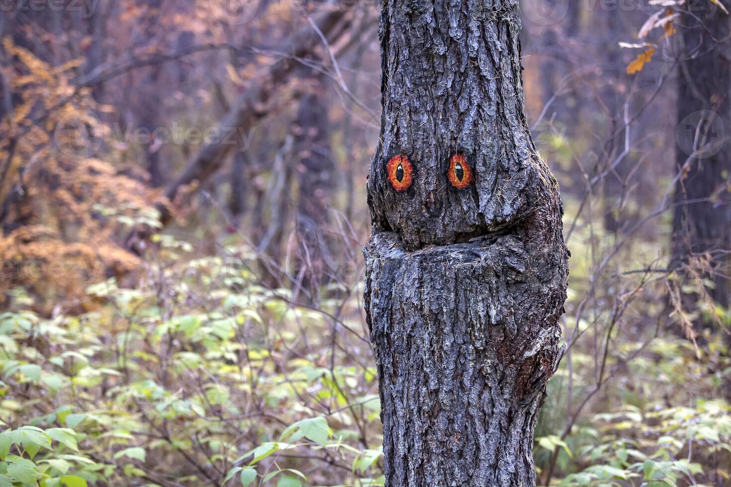 lächelnder Tannenbaum. Geist des Waldes foto