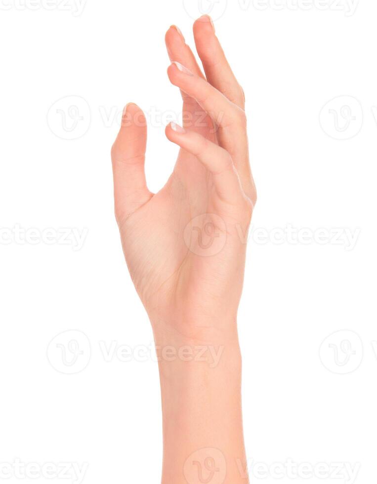 weiblich Hand auf Weiß Hintergrund foto