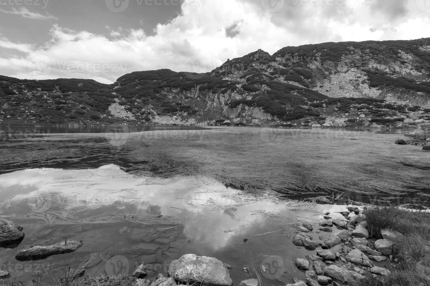 schön Landschaft von Berg See mit Pflanzen im rila Berg, Bulgarien foto