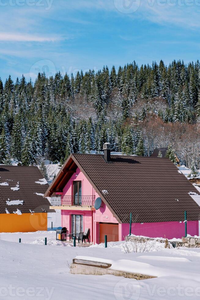 Rosa zwei Geschichte Haus mit ein Terrasse im das Schnee beim das Kante von ein Nadelbaum Wald im das Dorf foto