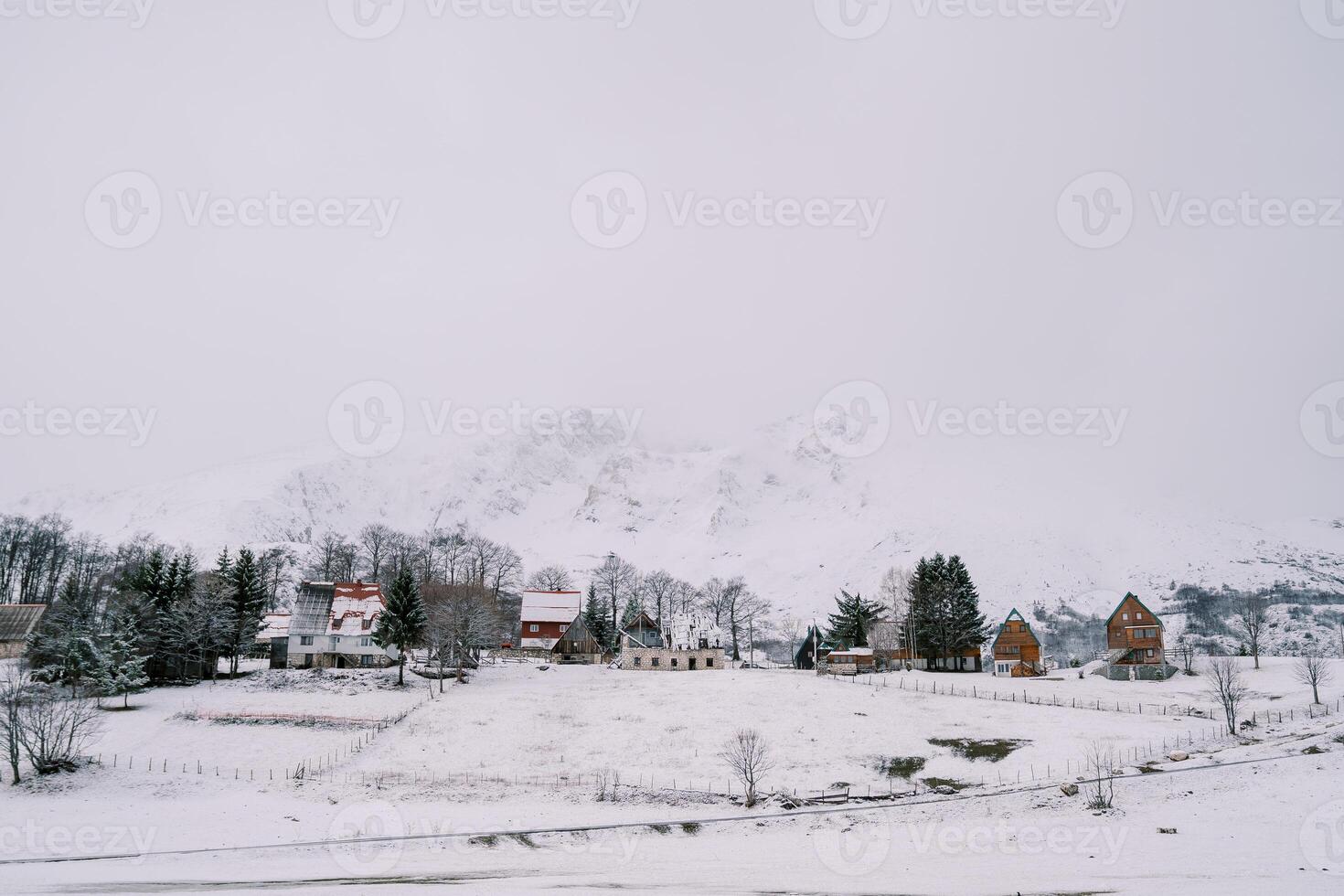 schneebedeckt Dorf unter Bäume beim das Fuß von das Berge foto