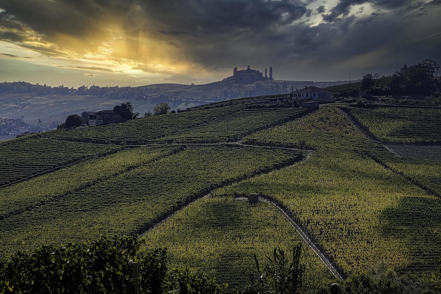 Landschaften der piemontesischen Langhe während der Ernte, mit den leuchtenden Farben des Herbstes foto