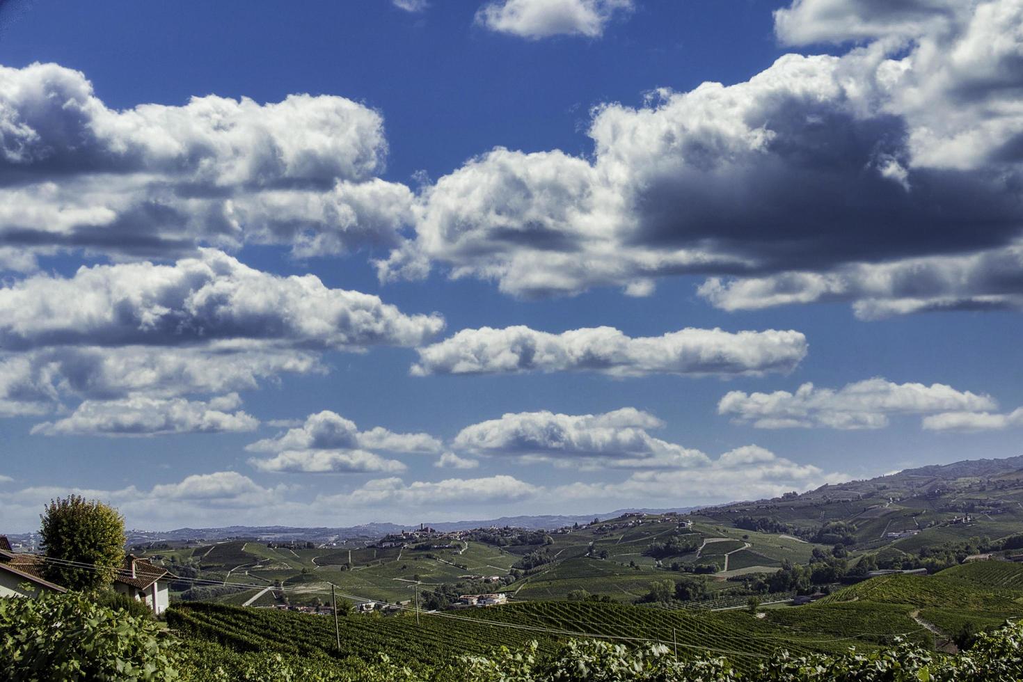 Landschaften der piemontesischen Langhe, die Farben der Weinberge im Herbst, während der Weinlese foto