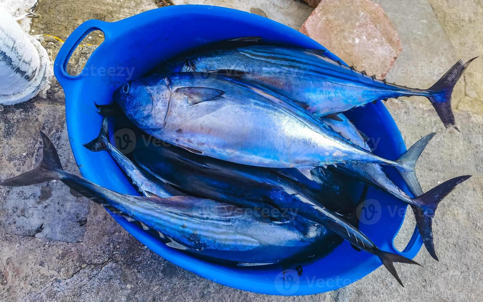 frisch gefangen Fisch auf das Markt Textur Muster im Mexiko. foto