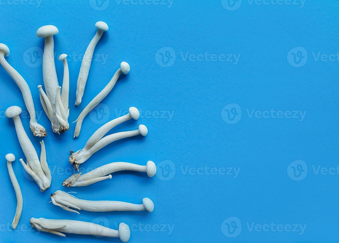 Enoki Pilze auf Blau, kulinarisch Gesundheit Konzept foto