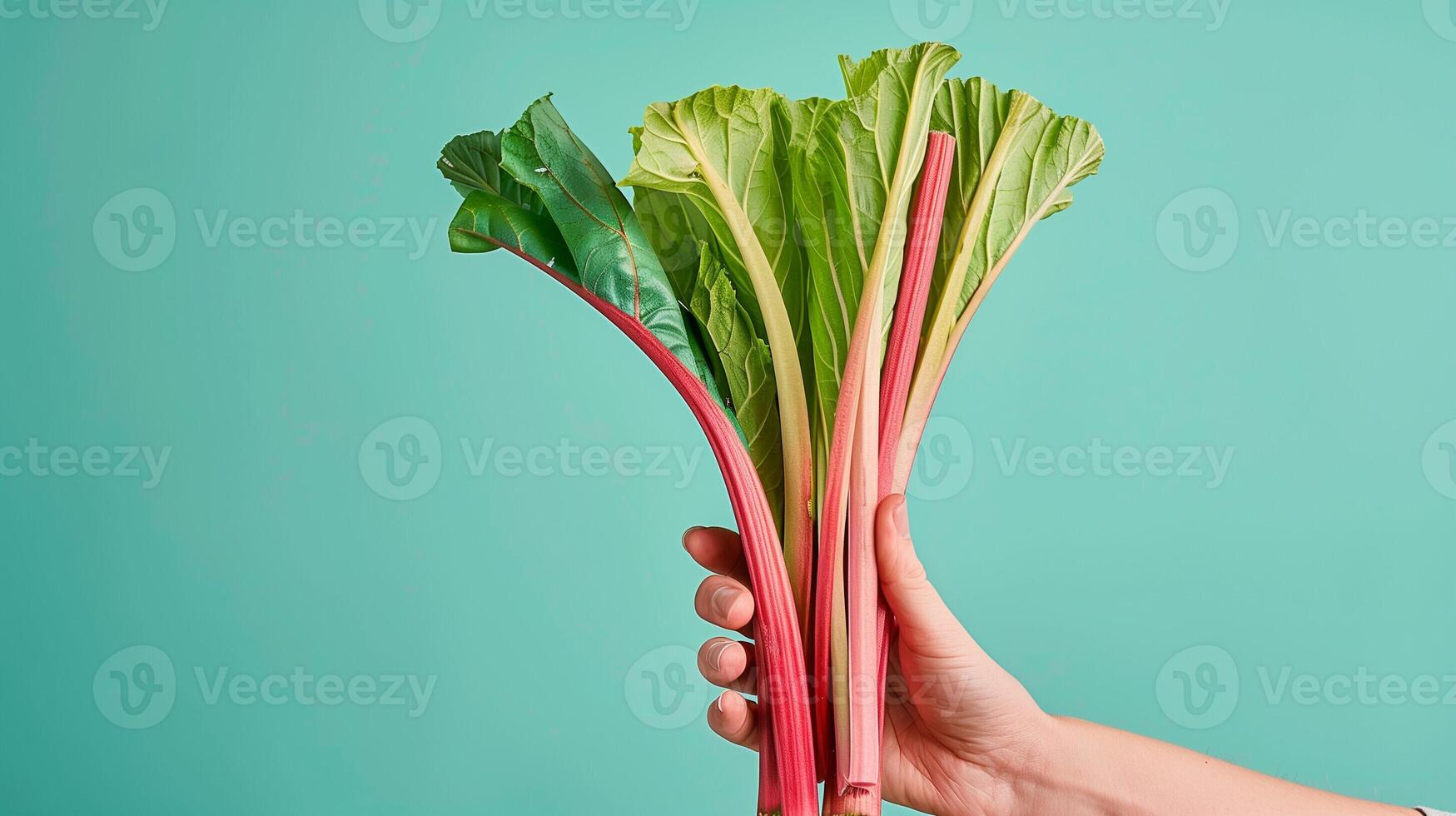 ai generiert ein Bauern Hand halten ein frisch gepflückt Rhabarber Stengel, isoliert auf ein Gradient Hintergrund foto