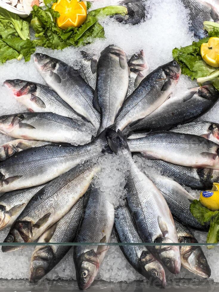 frisch Fisch ist schön gelegt aus auf Eis auf das Geschäft Zähler foto