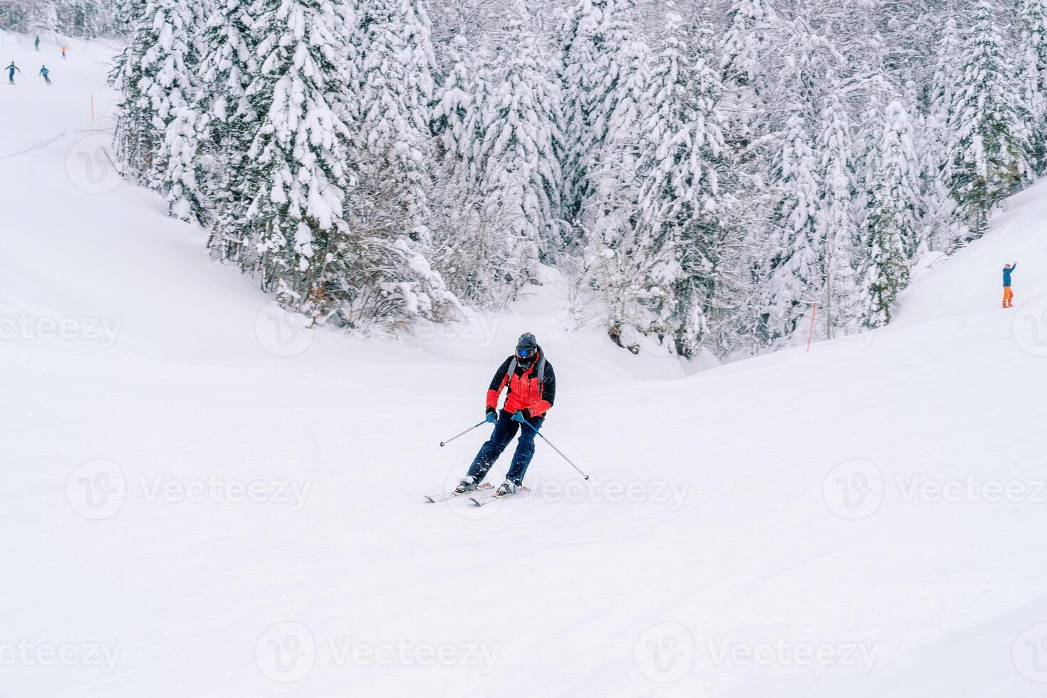 Skifahrer Fahrten gelehnt zu das Seite auf seine Ski entlang ein schneebedeckt Steigung entlang ein Nadelbaum Wald foto
