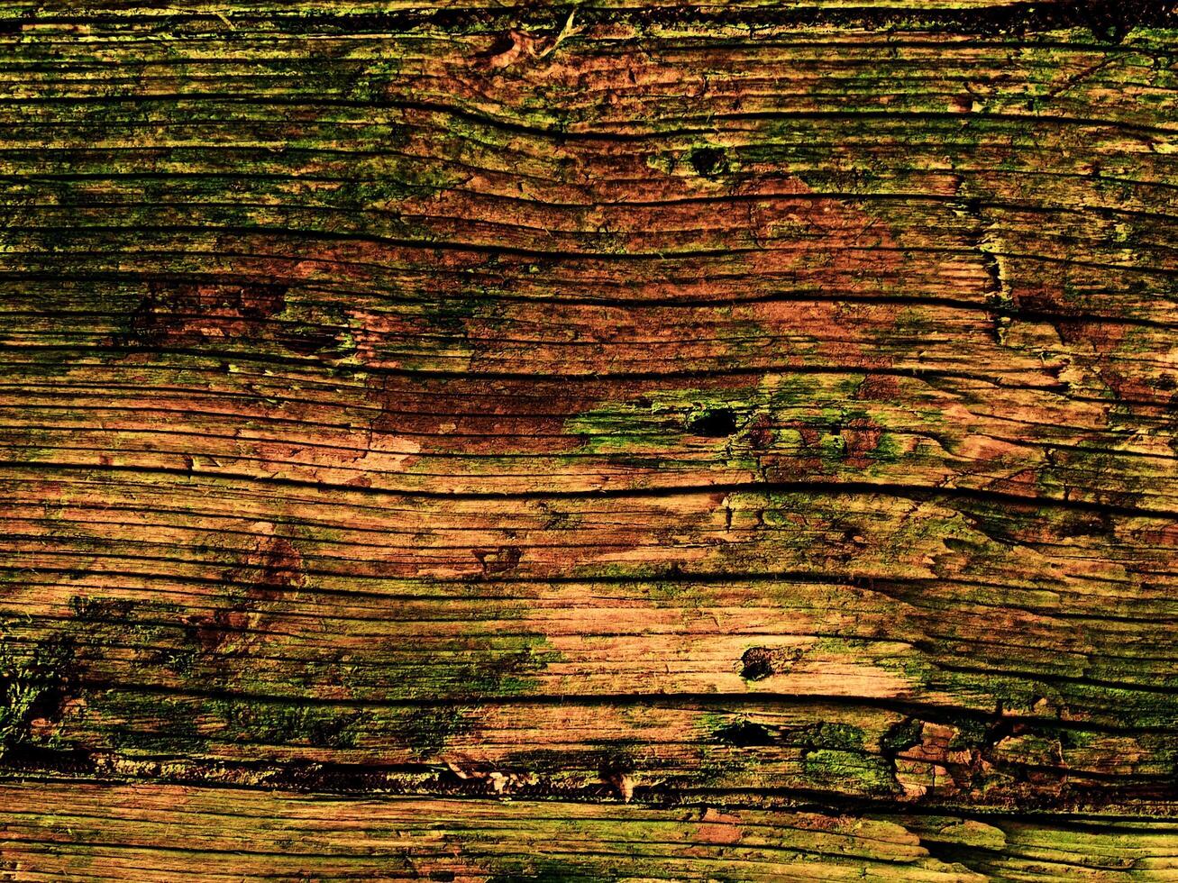 dunkelbraune Holzstruktur foto