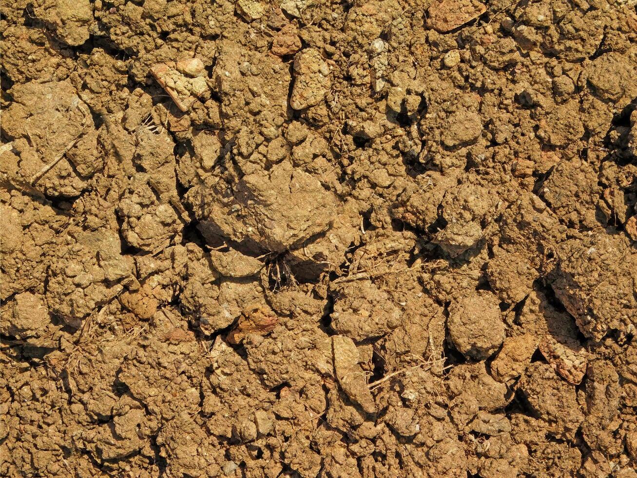 Bodenbeschaffenheit im Freien foto