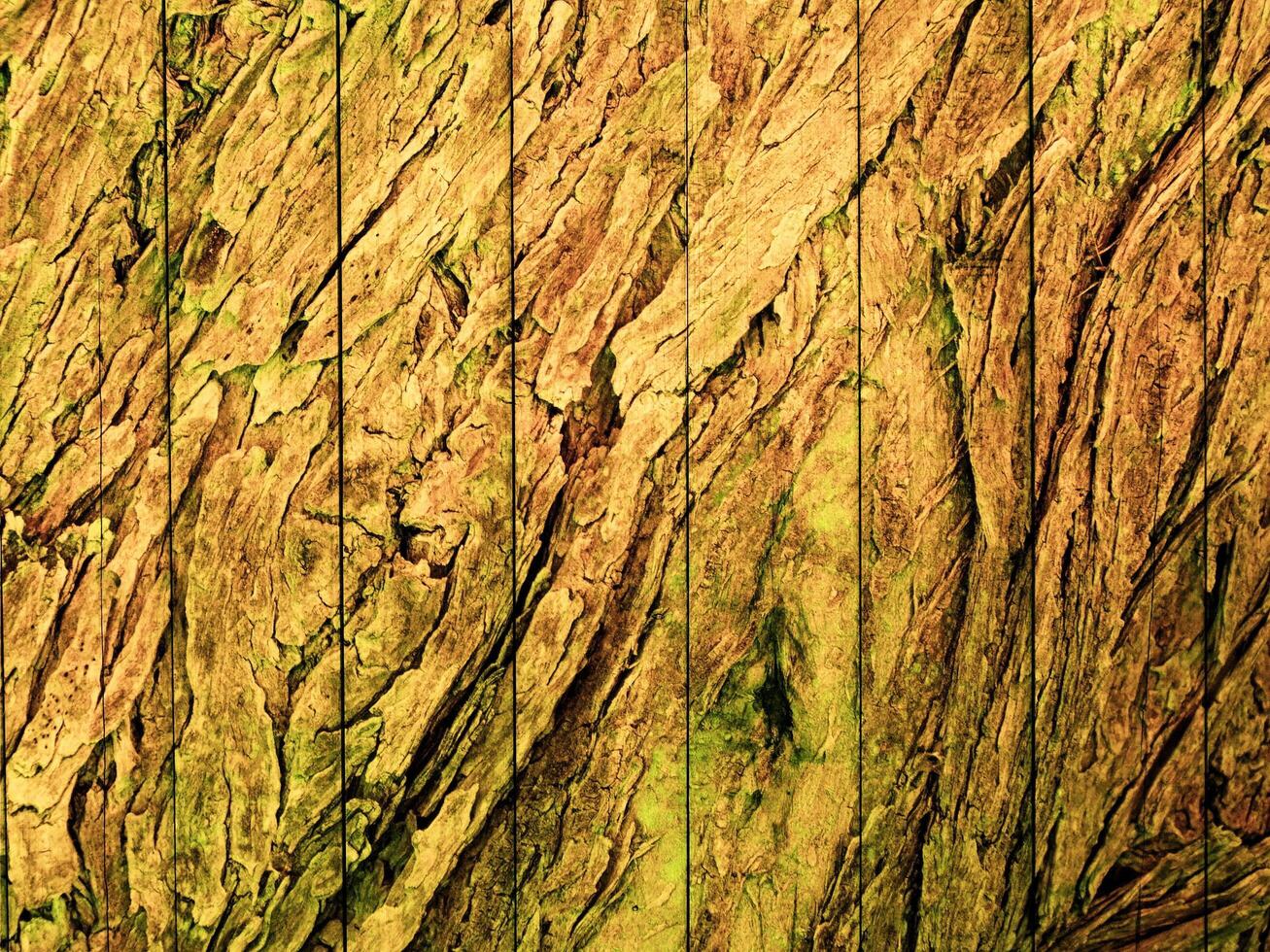 dunkelbraune Holzstruktur foto