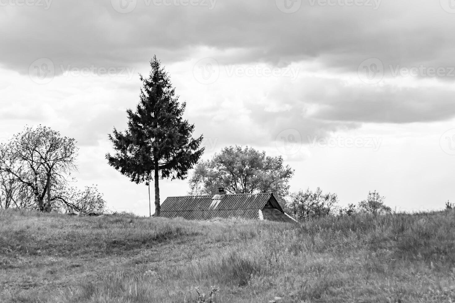 schöne horizontlandschaft in der dorfwiese auf natürlichem farbhintergrund foto