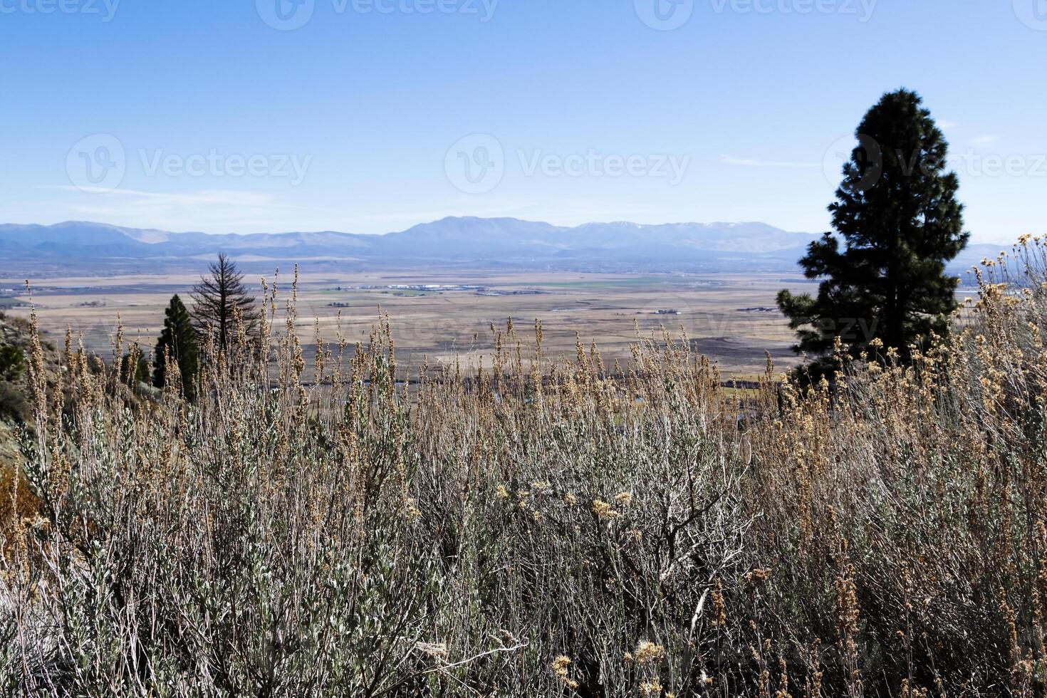 Aussicht von carson Senke Nevada ne Genua foto