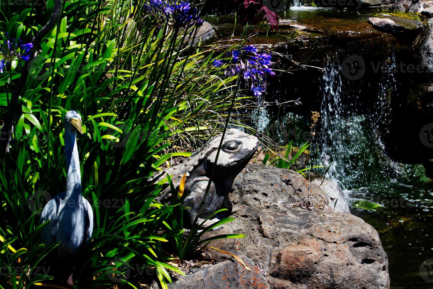Frosch und Vogel Garten Ornament in der Nähe von Teich Brunnen foto