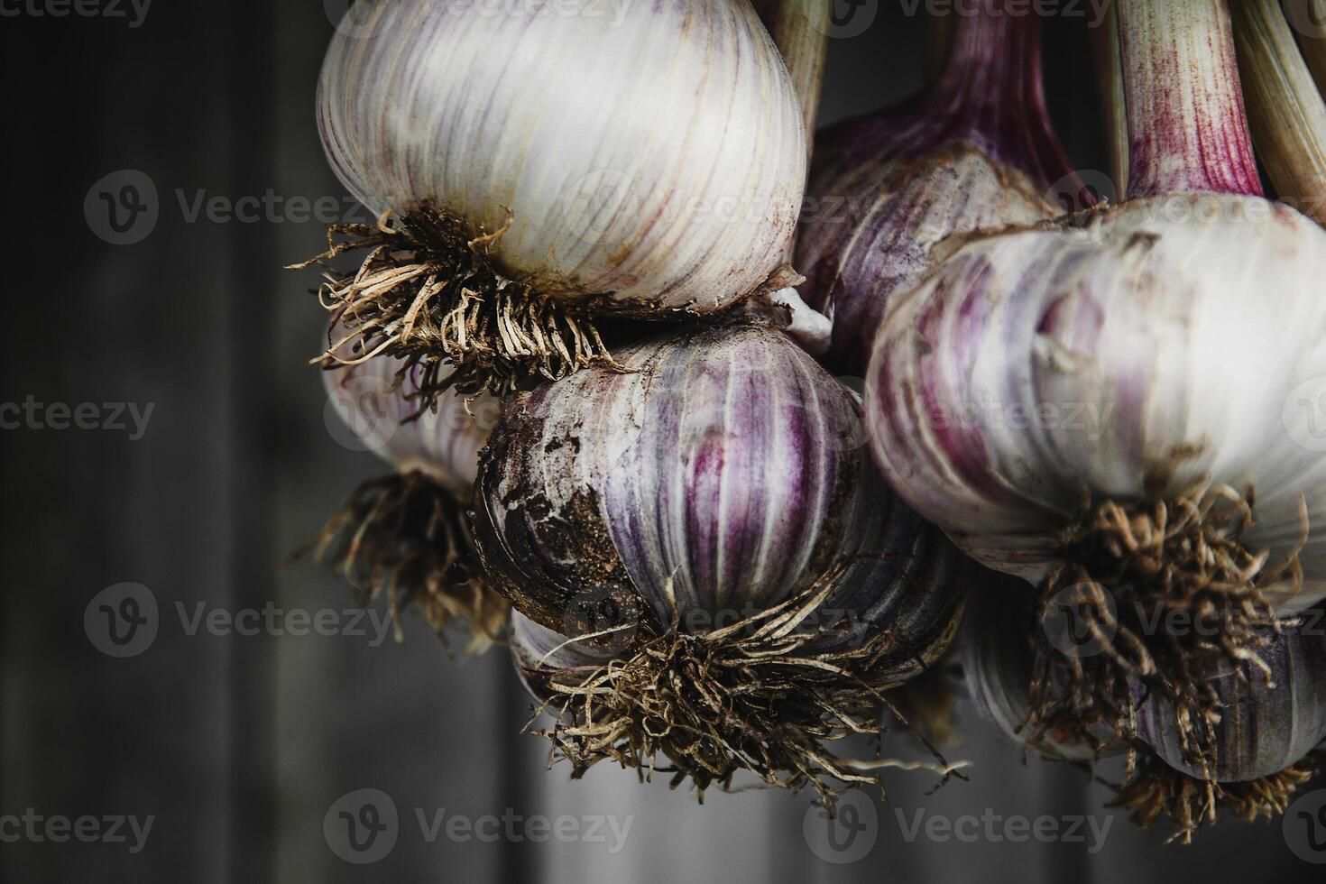 Bündel von frisch gepflückt Knoblauch hängend gegen grau hölzern Mauer Hintergrund, selektiv Fokus, Nahansicht foto