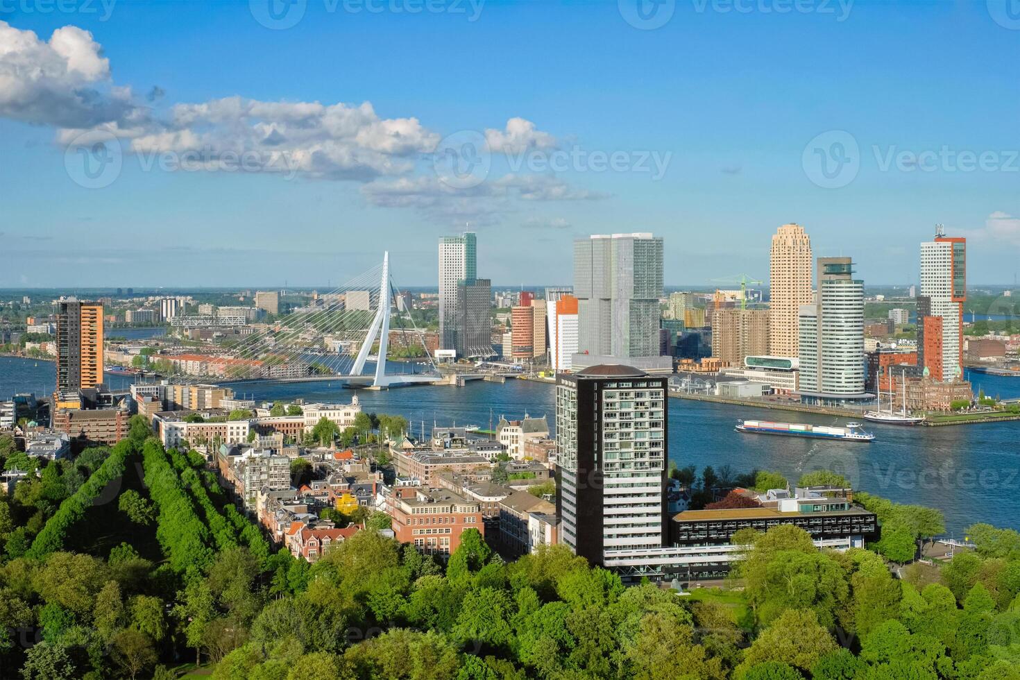 Aussicht von Rotterdam Stadt und das Erasmus Brücke foto