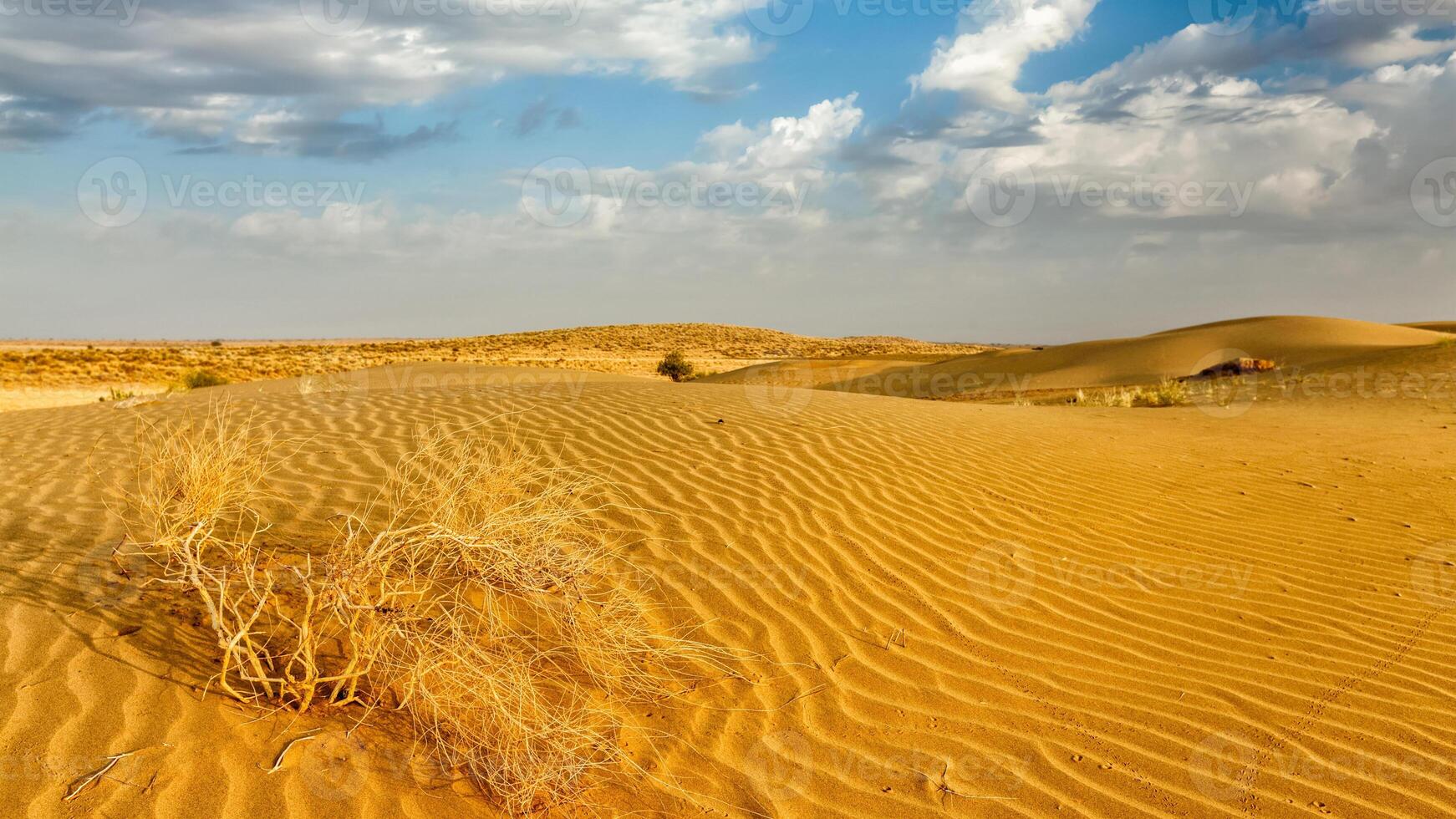 Dünen der Wüste, Rajasthan, Indien foto