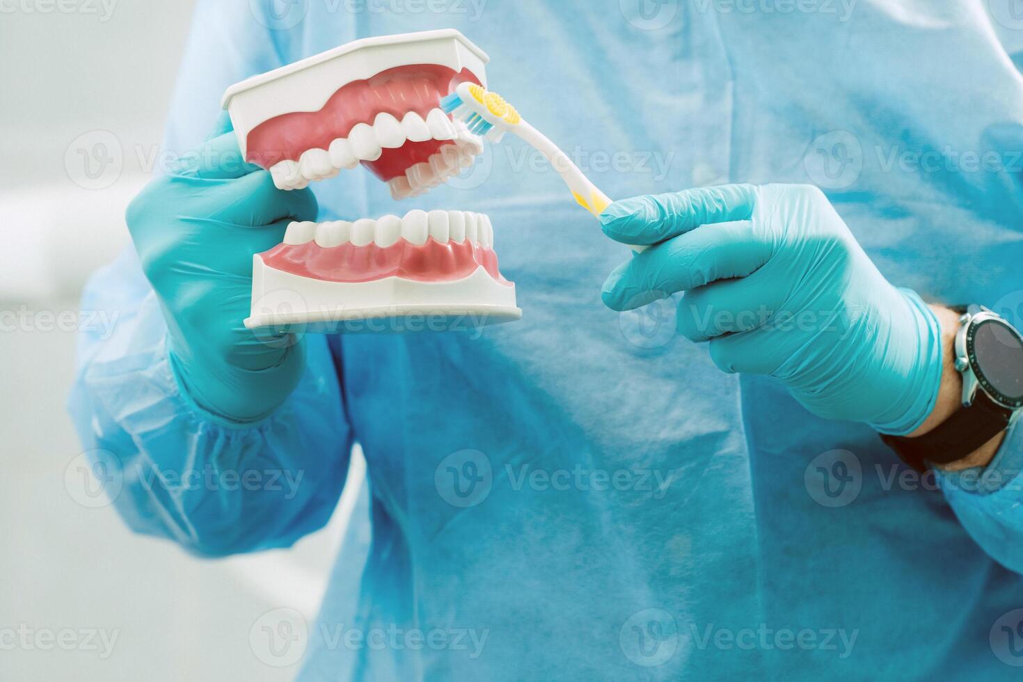 ein Modell- von ein Mensch Kiefer mit Zähne und ein Zahnbürste im das Zahnarzt Hand foto