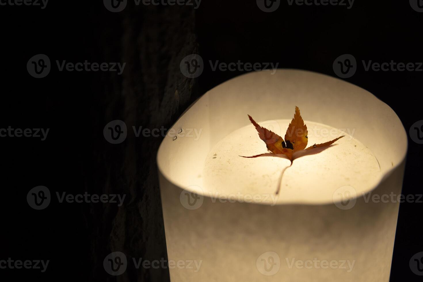 ein beleuchtet rot Blätter im das Licht beim das traditionell Garten beim Nacht im Herbst foto