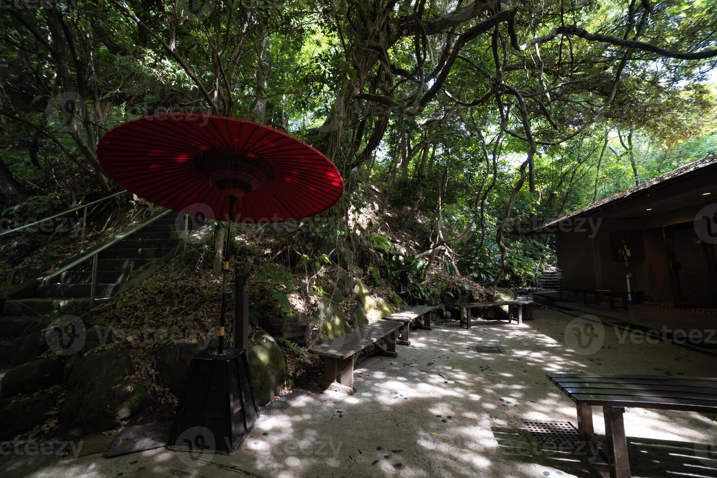 ein rot Regenschirm beim Grün Wald von todoroki Senke im setagaya Tokyo foto