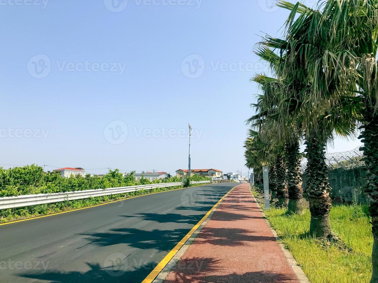 leere Straße mit Palmen auf der Insel Jeju. Sommertag. Südkorea foto
