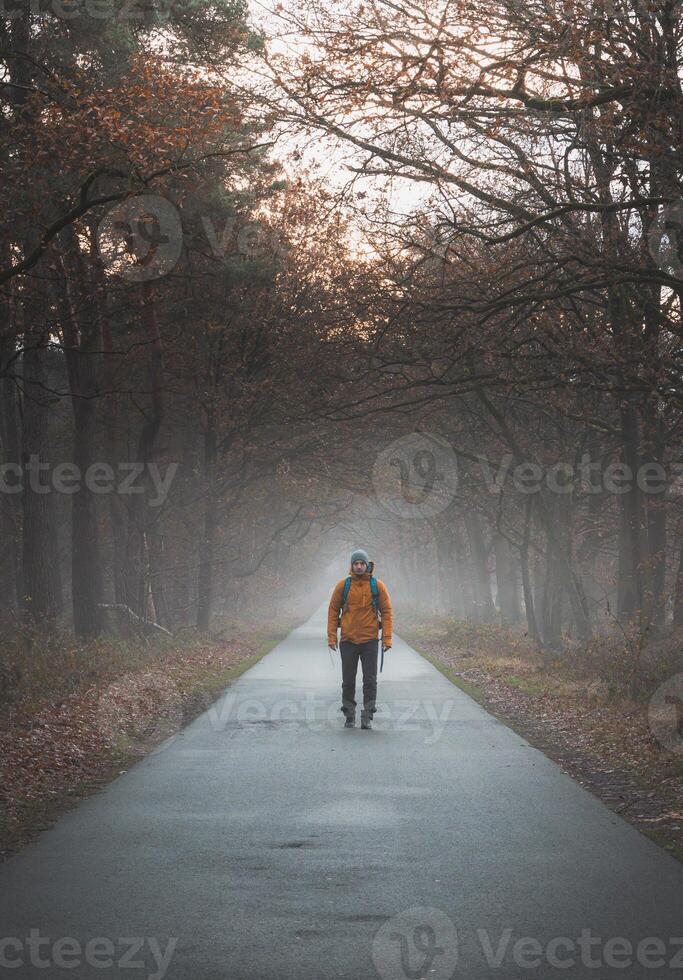 Reisender Spaziergänge entlang ein Straße im das Morgen Nebel im das Grenzpark Abonnieren heide in der Nähe von Antwerpen im Nordwest Belgien foto