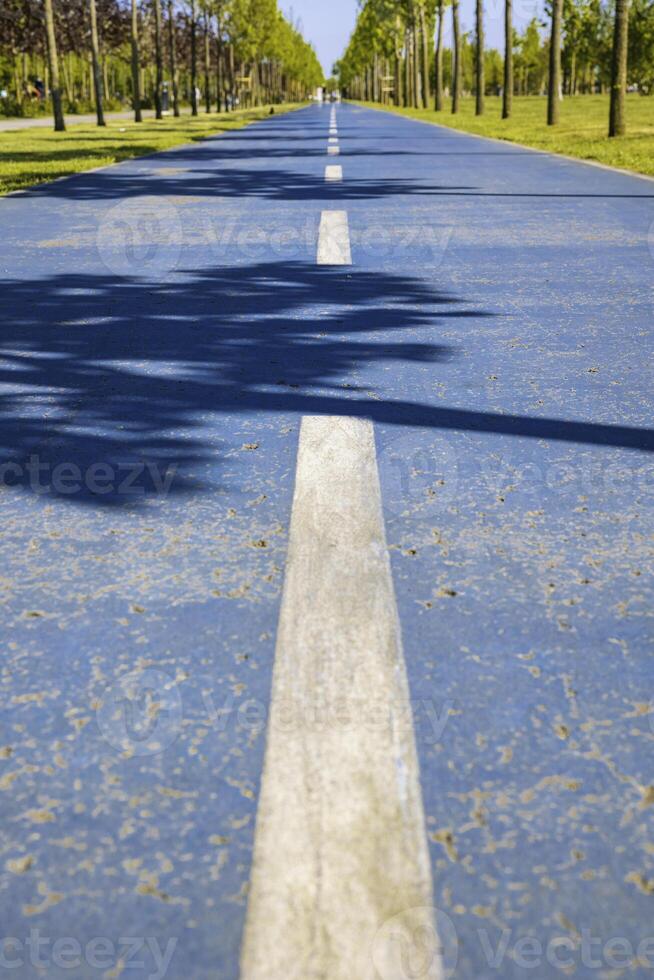 zwei Fahrspuren Fahrrad oder Fahrrad Straße oder Pfad im das Park von Boden eben. foto