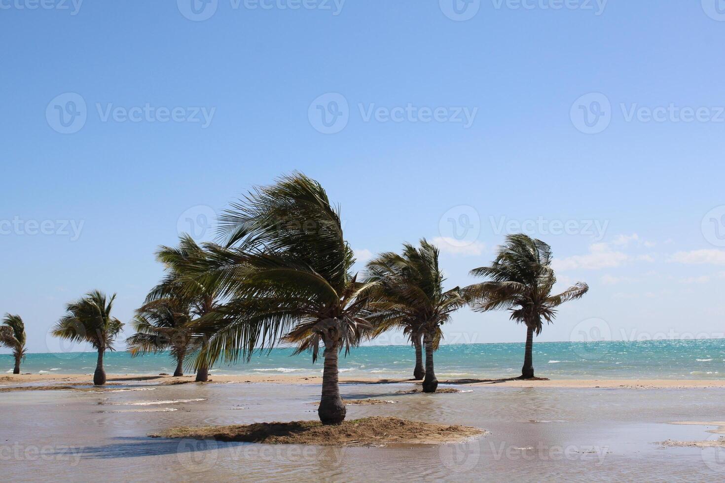 schön tagsüber Aussicht von königlich Kommission Strand im Yanbu, Saudi Arabien. foto