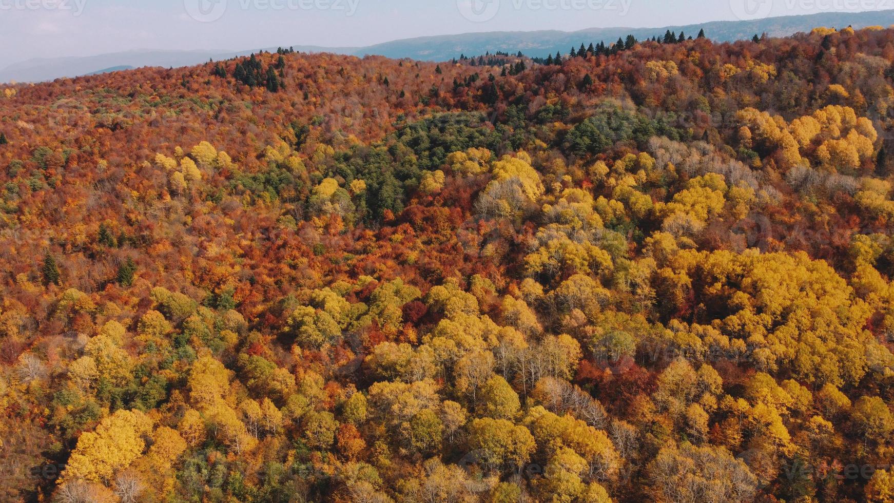 Herbstfarbenlandschaft Luftbild foto