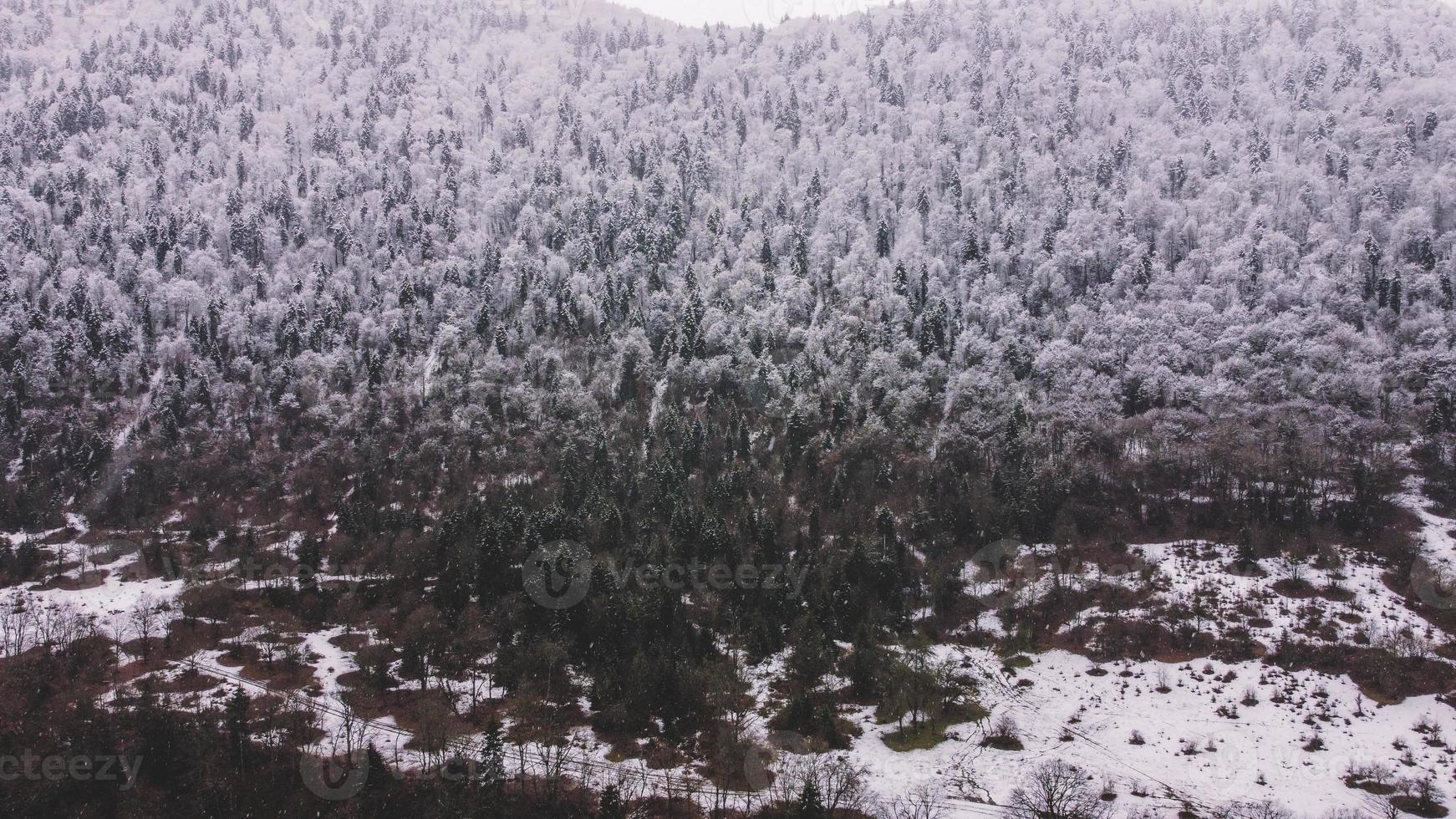 Luftaufnahme des verschneiten Waldes - Drohnenansicht der verschneiten Bäume foto