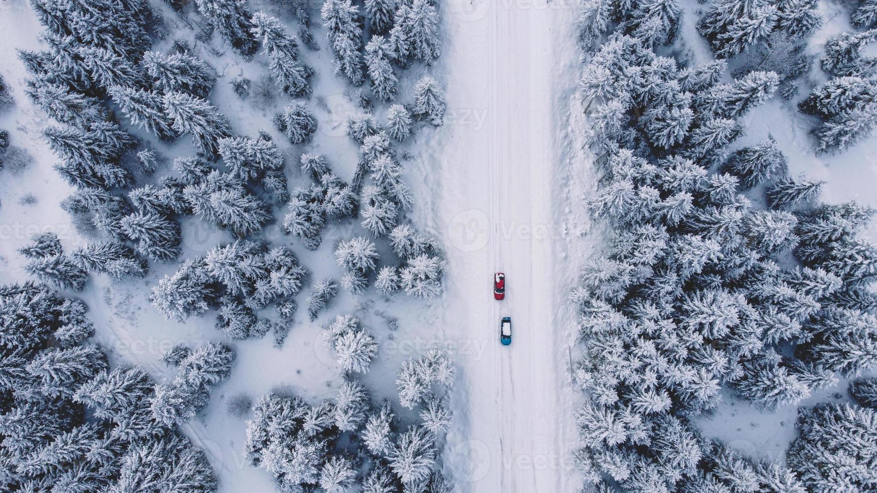 Luftaufnahme des verschneiten Waldes - Drohnenansicht der verschneiten Bäume foto